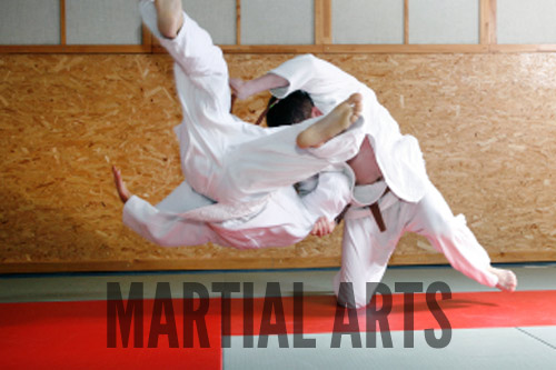 Martial Arts mats and mixed martial arts mats from Gym Master